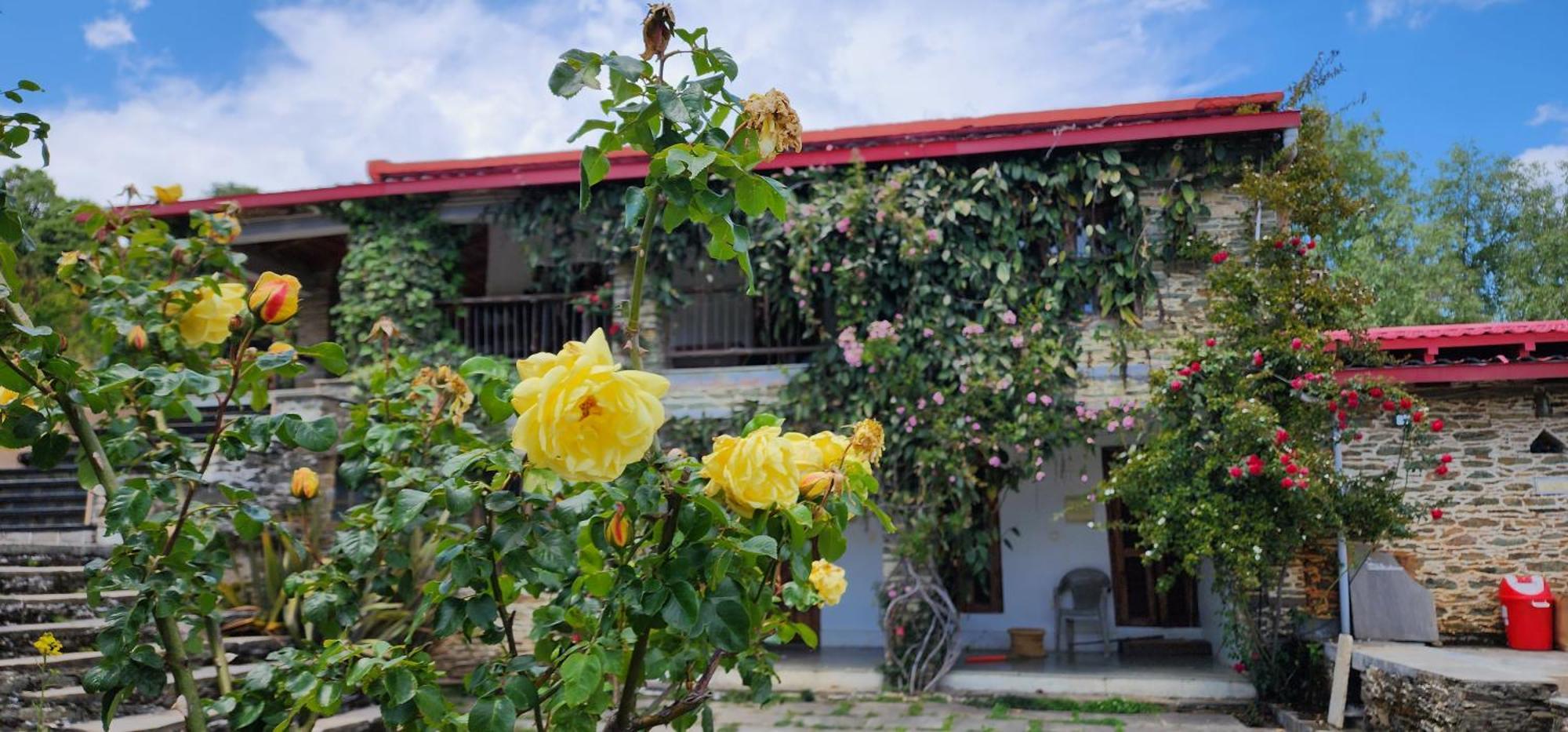 Dunagiri Retreat Dwarahat Exterior photo